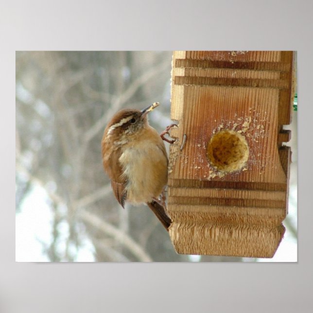 Peanut butter bird poster (Front)