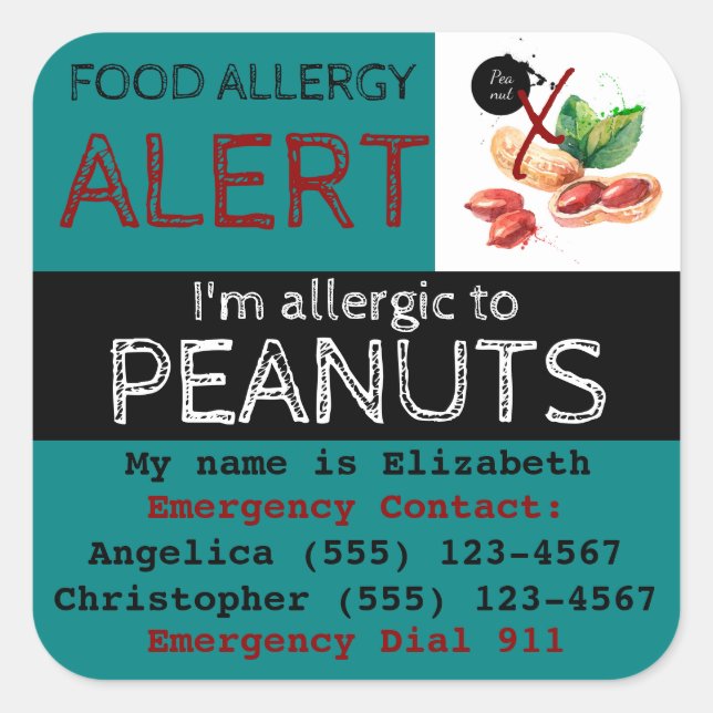 Peanut Food Allergy Sticker Teal (Front)