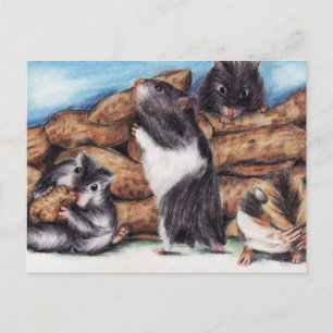 Peanut Masons (Hamster) Postcards