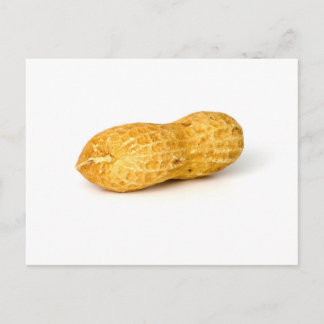 Peanut Postcard
