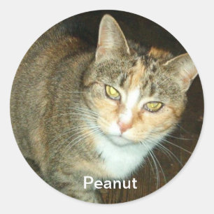 PEANUT STICKER