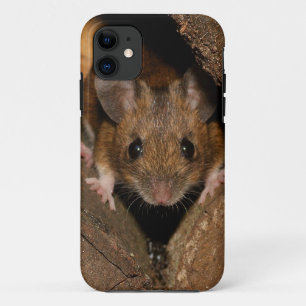 Peanut the Wood mouse iPhone 11 Case