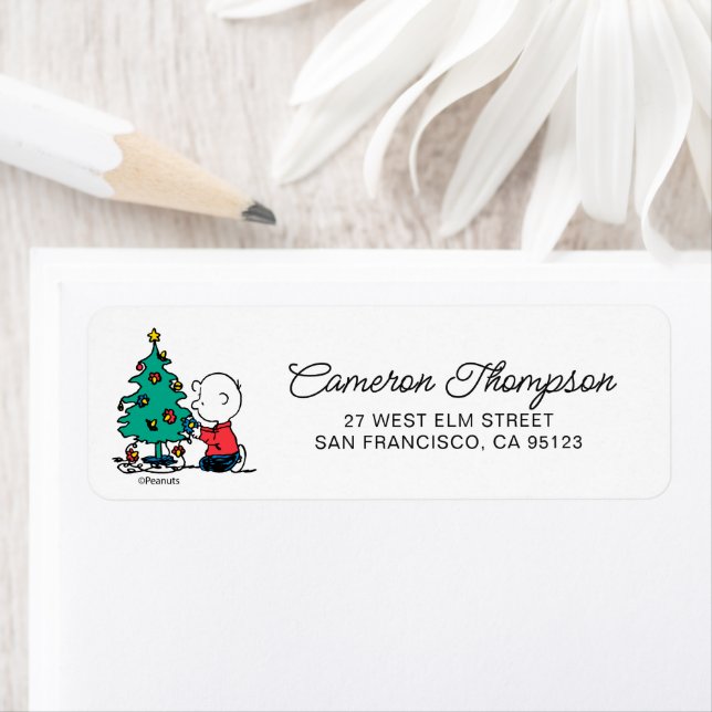 Peanuts | Charlie Brown Christmas Lights (Insitu)