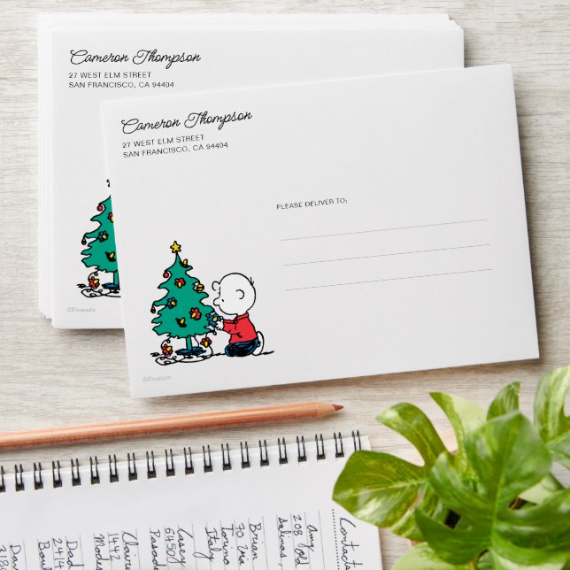 Peanuts | Charlie Brown Christmas Lights Envelope (Stacked)