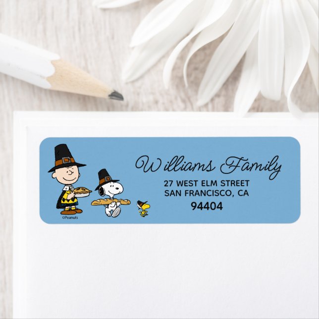 Peanuts | Charlie Brown Thanksgiving (Insitu)