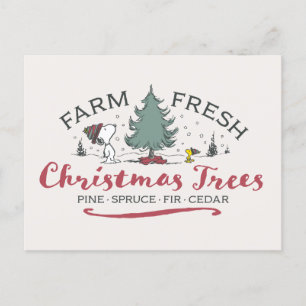 Peanuts   Farm Fresh Christmas Trees Postcard