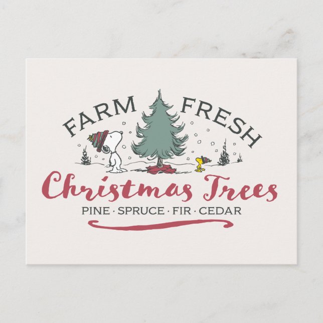 Peanuts | Farm Fresh Christmas Trees Postcard (Front)