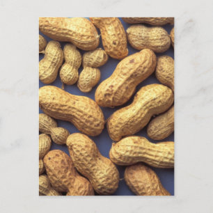 Peanuts Postcard