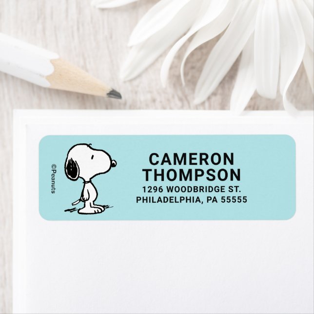 Peanuts | Snoopy (Insitu)