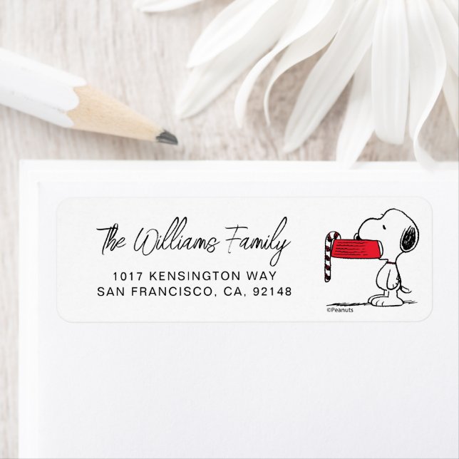 Peanuts | Snoopy Candy Cane Food Dish (Insitu)