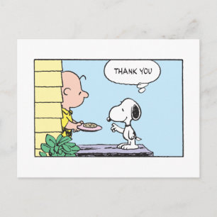 Peanuts   Snoopy & Charlie Brown Thank You Postcard