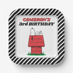 Peanuts Snoopy Dog House Birthday Paper Plate