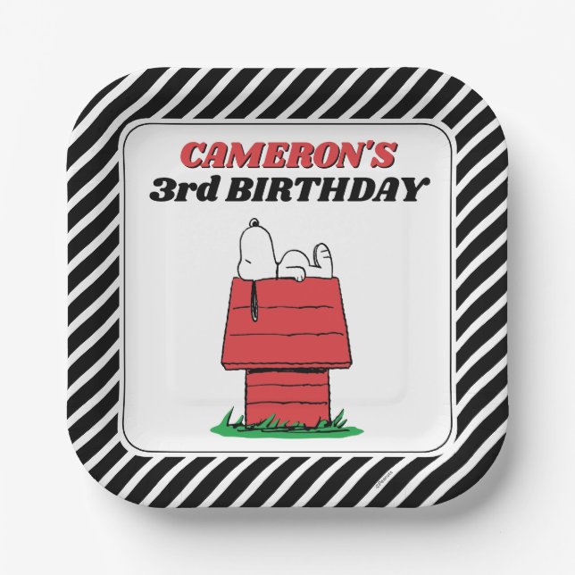 Peanuts Snoopy Dog House Birthday Paper Plates (Front)