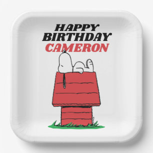 Peanuts Snoopy Dog House Birthday Paper Plates