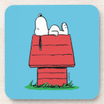 Peanuts | Snoopy Napping Coaster<br><div class="desc">Snoopy is the loveable pet beagle of Charlie Brown in the comic strip Peanuts by Charles M. Schulz. Check out this cute Peanuts design featuring this loveable dog.</div>