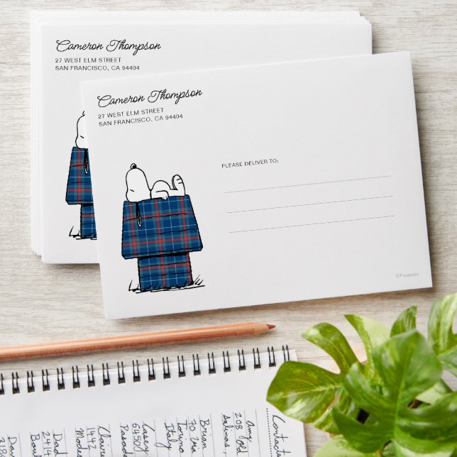 Peanuts | Snoopy Plaid Flannel Holiday Dog House Envelope (Stacked)