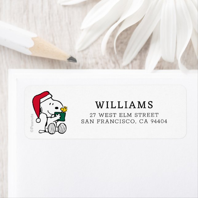 Peanuts | Snoopy Santa & Woodstock Gift (Insitu)