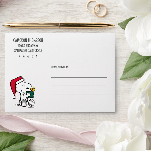 Peanuts | Snoopy Santa & Woodstock Gift Envelope (Wedding)