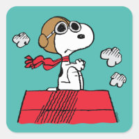 Peanuts | Snoopy the Flying Ace