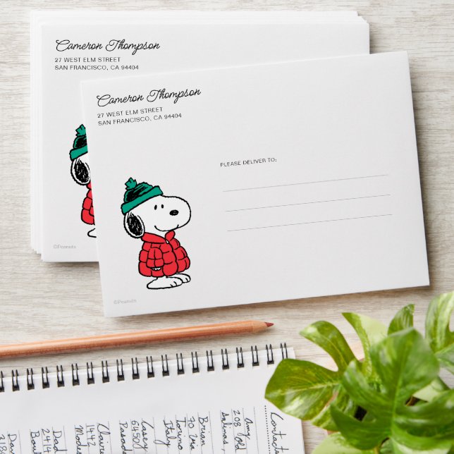 Peanuts | Snoopy Winter Coat & Hat Envelope (Stacked)