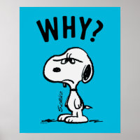 Peanuts | Snoopy Wonders Why?