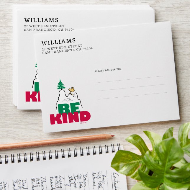 Peanuts | Snoopy & Woodstock Be Kind Envelope (Stacked)