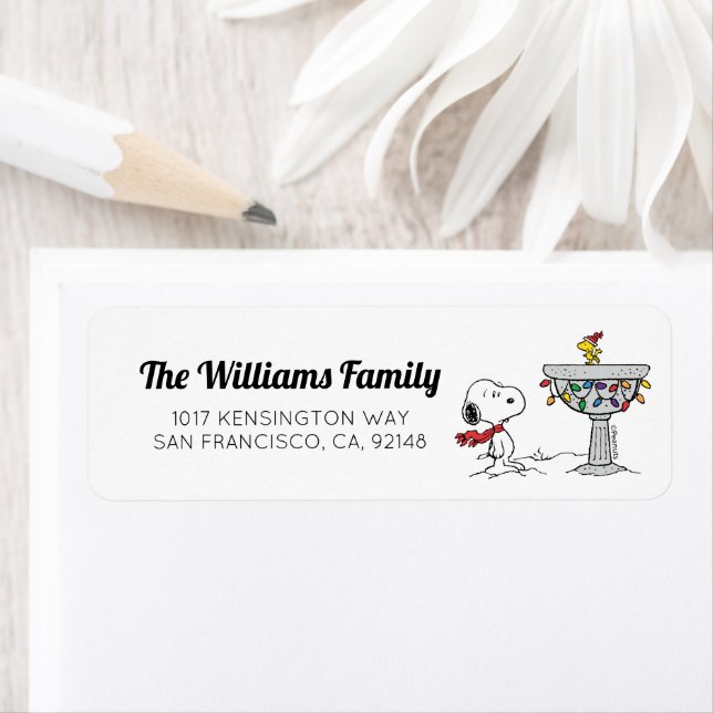 Peanuts | Snoopy & Woodstock Decorated Bird Bath (Insitu)