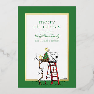 Peanuts Snoopy & Woodstock Family Photo Foil Holiday Card
