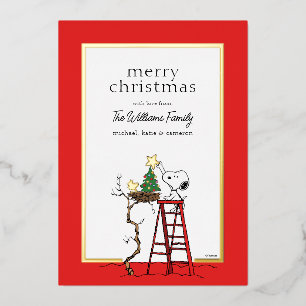 Peanuts   Snoopy & Woodstock Family Photo Foil Holiday Card