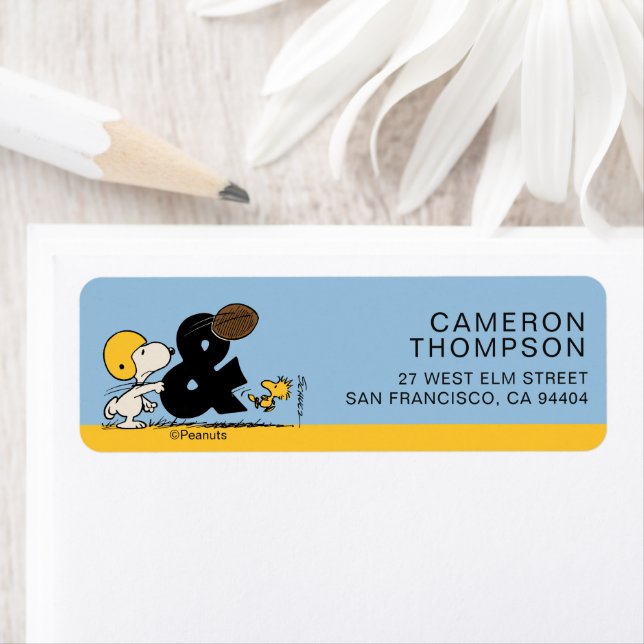 Peanuts | Snoopy & Woodstock Football (Insitu)