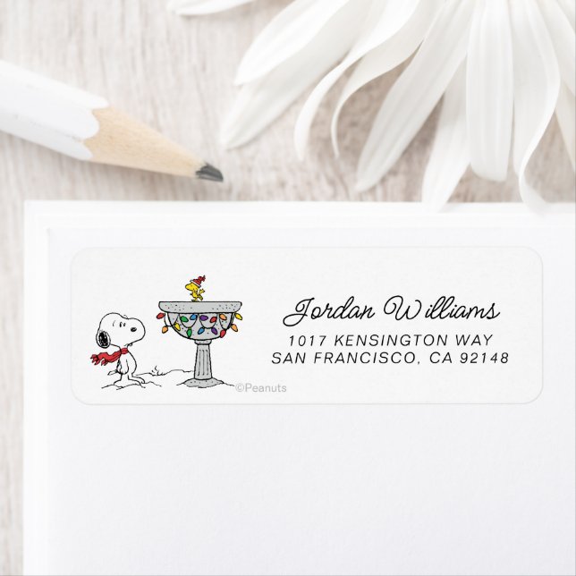 Peanuts | Snoopy & Woodstock Frozen Birdbath (Insitu)