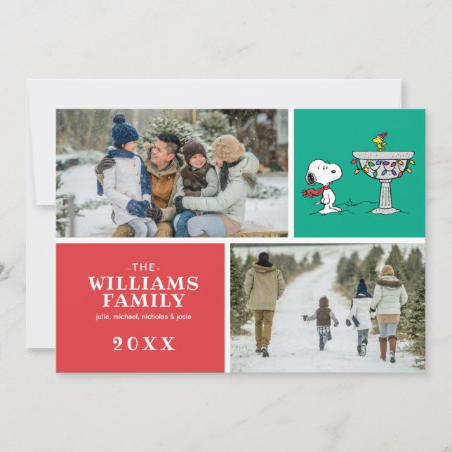 Peanuts | Snoopy & Woodstock Frozen Birdbath Holiday Card (Front)