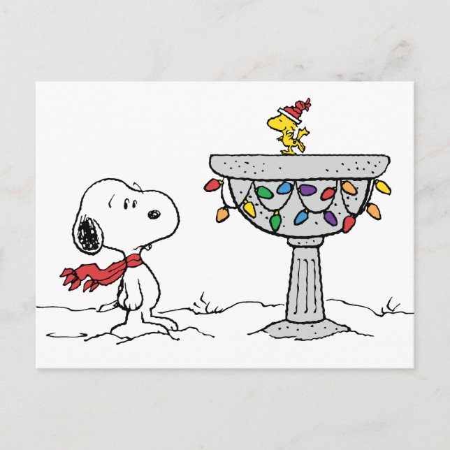 Peanuts | Snoopy & Woodstock Frozen Birdbath Holiday Postcard (Front)