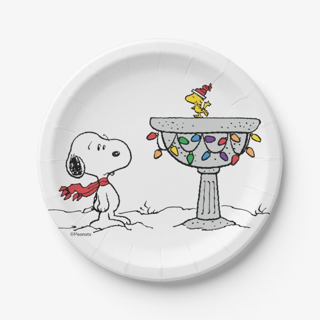 Peanuts | Snoopy & Woodstock Frozen Birdbath Paper Plate (Front)