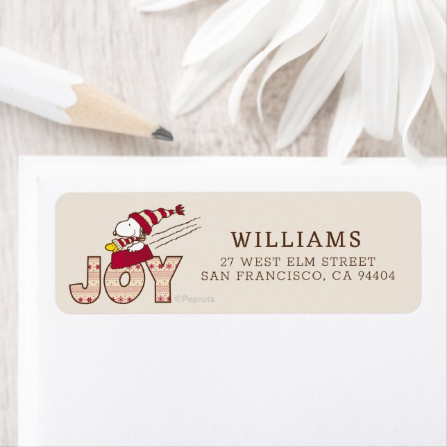 Peanuts | Snoopy & Woodstock Joy Sled Ride (Insitu)