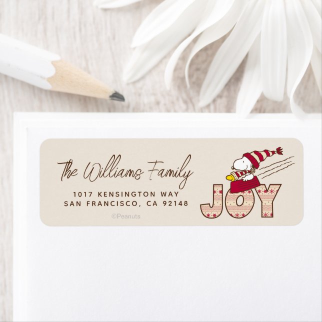 Peanuts | Snoopy & Woodstock Joy Sled Ride (Insitu)