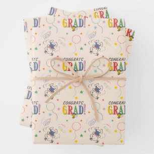 Peanuts Snoopy Woodstock PhotoPop Graduation Wrapping Paper Sheet