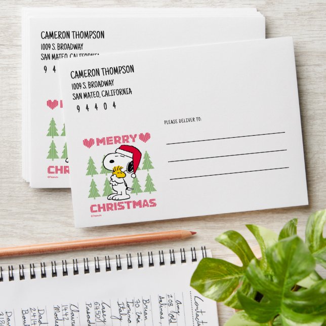 Peanuts | Snoopy & Woodstock Santa Claus Hug Envelope (Stacked)