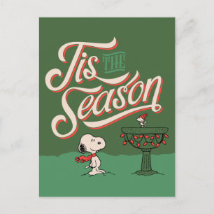 Peanuts Snoopy & Woodstock Tis The Season Holiday Postcard