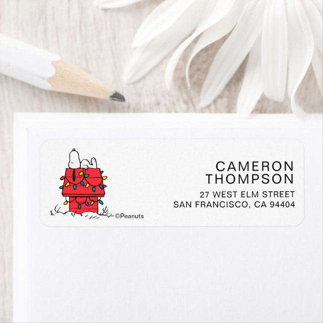 Peanuts | Snoopy's Dog House With Lights (Insitu)