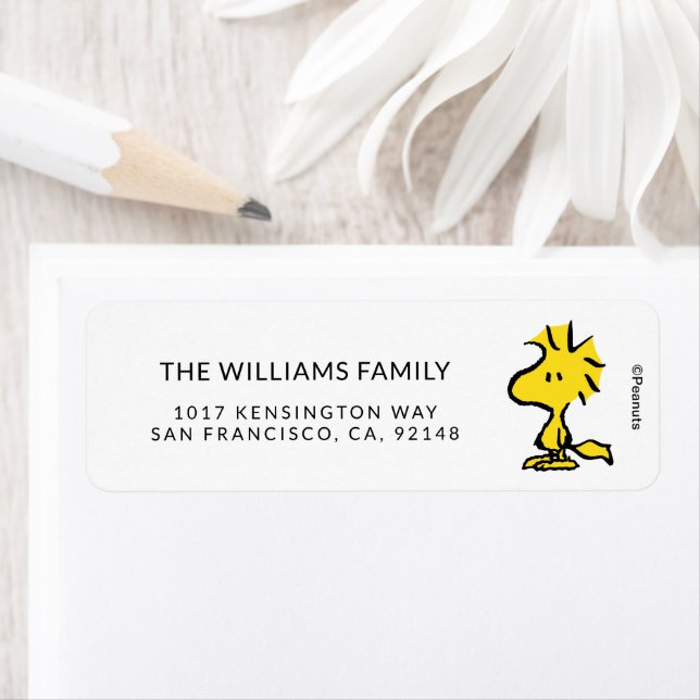 Peanuts | Snoopy's Friend Woodstock (Insitu)