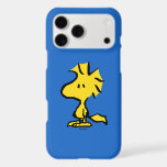 Peanuts | Snoopy's Friend Woodstock<br><div class="desc">Snoopy's best friend and sidekick is featured in this cute Peanuts design.</div>