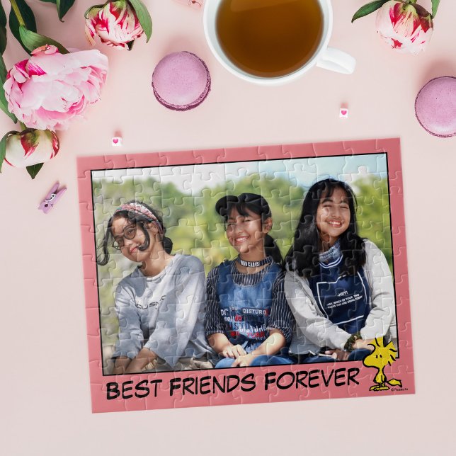 Peanuts | Snoopy's Friend Woodstock Custom Photo Jigsaw Puzzle (Creator Uploaded)