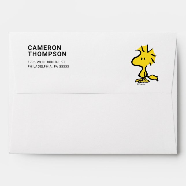 Peanuts | Snoopy's Friend Woodstock Envelope (Back (Top Flap))