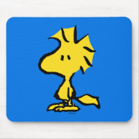 Peanuts | Snoopy's Friend Woodstock
