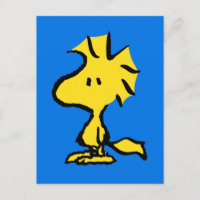 Peanuts | Snoopy's Friend Woodstock