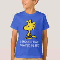 Peanuts | Snoopy's Friend Woodstock