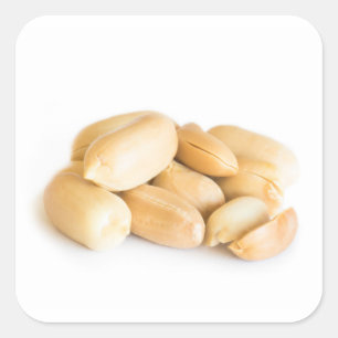 Peanuts Square Sticker