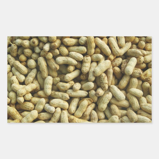 Peanuts Sticker (Front)