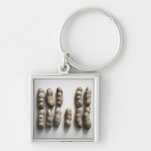 Peanuts Still Life Fine Art Photograph Keychain